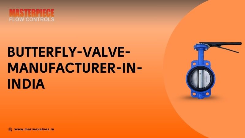 Butterfly Valve Manufacturer In India